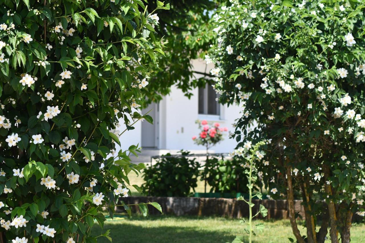Casa Del Pellegrino M&A - Ostojici Hotel Međugorje Buitenkant foto