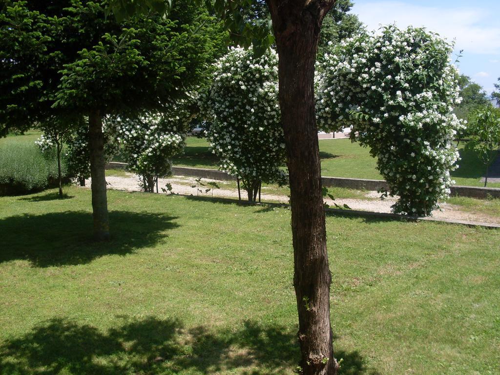 Casa Del Pellegrino M&A - Ostojici Hotel Međugorje Buitenkant foto